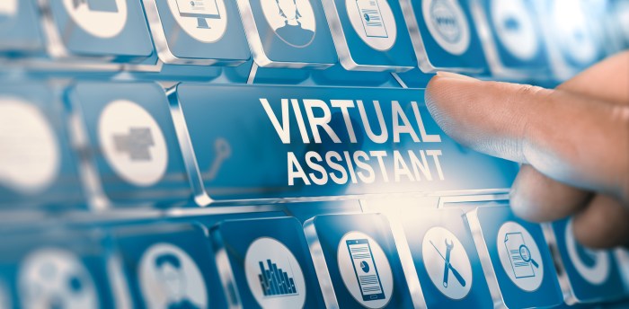 Assistant virtual freelance like platforms includes quarter americans gig economy participating nearly uber becoming while steps were spring